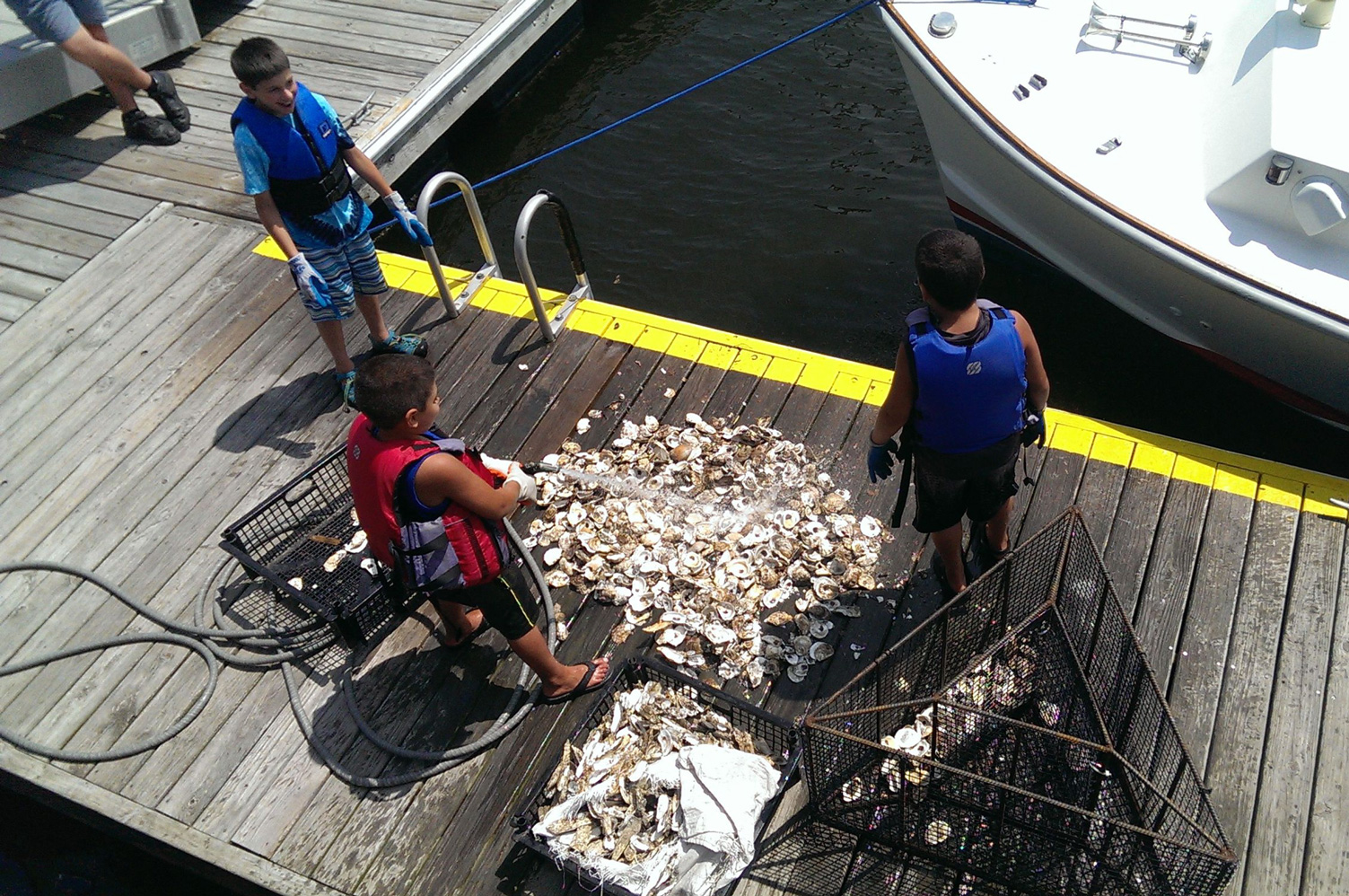 Oyster Gardening Manual  - MTWTF